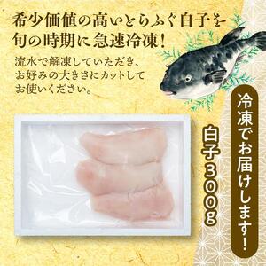 数量限定 ふぐ料理専門店 栄ふく 国産 とらふぐ 希少価値 白子 約300g