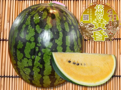 【先行受付：2026年7月発送】信州波田産 甘いスイカ！ 信州の黄昏 ( 金色羅皇 ) 【特上】 2L～3Lサイズ 1玉｜ふるさと納税 長野県 信州 松本 果物 フルーツ すいか スイカ 西瓜