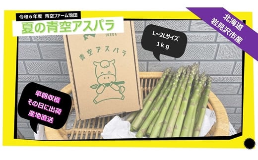 
【先行予約/令和6年産】北海道岩見沢産　夏グリーンアスパラ　L～2Lサイズ 1kg【41104】
