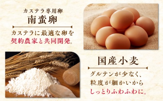 カステラ 長崎 贈答 ギフト 詰め合わせ 人気 和菓子 送料無料 常温 かすてら ざらめ ザラメ 文明堂 個包装 定期 定期便