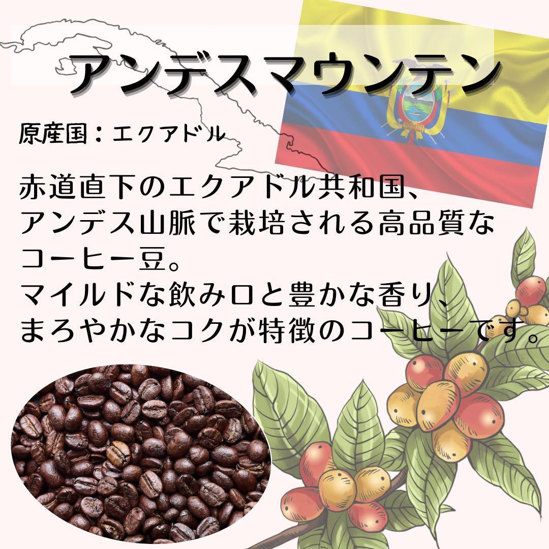 自家焙煎 プレミアム珈琲豆 3種セット（豆のまま）（3か月連続お届け）