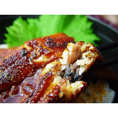 ふるさと納税 四万十町 【2025年5月上旬発送】四万十味紀行 うなぎ飯の素　Ess-08 |  | 01