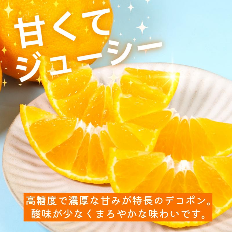 デコポン 訳あり 3㎏ 柑橘 フルーツ 旬 でこぽん 濃厚 甘い 厳選 国産 徳島県 【2月上旬より順次発送】