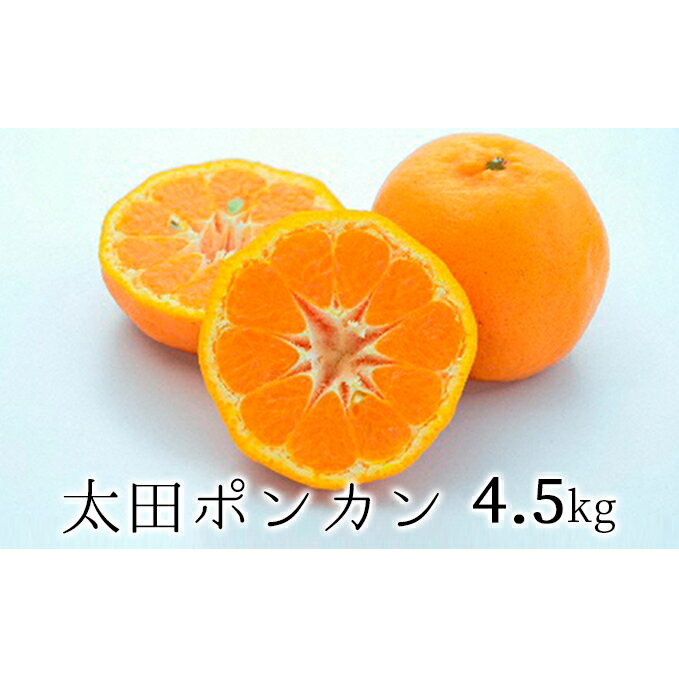 【ふるさと納税】【2027年1月より順次発送】静岡県清水生まれの美味しい柑橘・太田ポンカン 4.5kg◆ | 果物類・柑橘類・フルーツ・みかん・ミカン・ポンカン 果物 くだもの ポンカン フルーツ 食品 柑橘 静岡市 清水農業協同組合 新鮮 旬 甘い 美味しい 果汁 産地直送