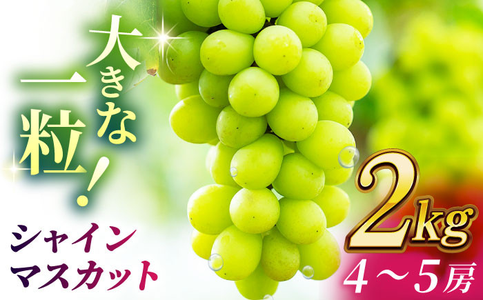 
【数量限定】シャインマスカット 2kg(4～5房)【合同会社 社方園】マスカット ぶどう 葡萄 熊本 フルーツ 果物 [ZBZ013]
