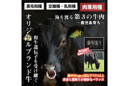 s140 鹿児島県産南国黒牛(肉専用種)切落し(計500g・250g×2パック)霜降りと赤身のバランスが絶妙な牛肉！様々な料理に使いやすい切り落としをお届け【カミチク】