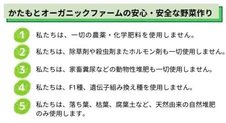 【5回定期便】お野菜セット かたもとオーガニックファーム 野菜
