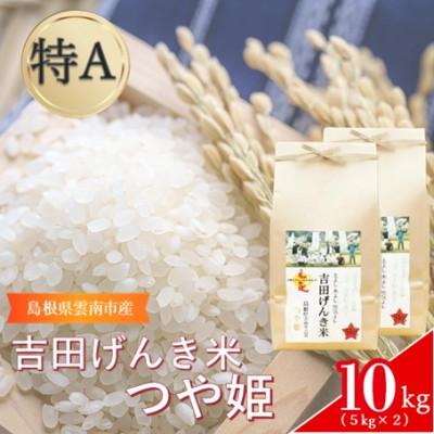 ふるさと納税 雲南市 島根県雲南市産　吉田げんき米　つや姫　10kg(5kg×2)