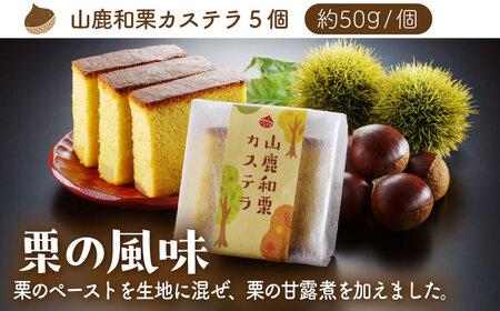 【12回定期便】カステラセット 山鹿和栗 & あんず 計10個 【株式会社あんず】[ZBT012]