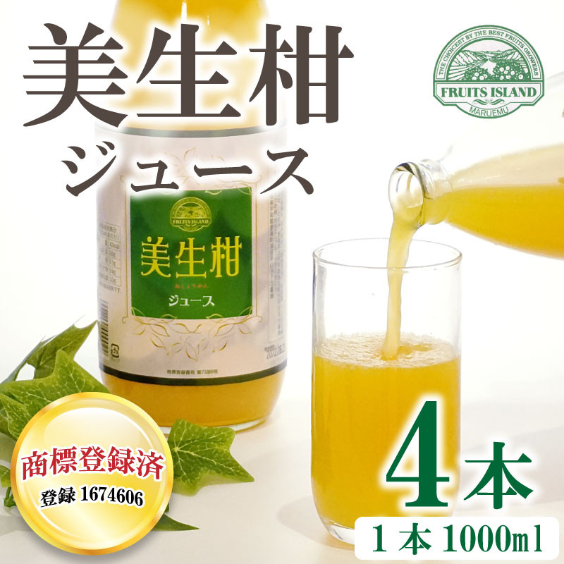 
先行予約 美生柑 みしょうかん ジュース 1,000ml × 4本 贈答 ギフト プレゼント 河内晩柑 ばんかん 柑橘 かんきつ 果汁 100% 愛媛 みかん オレンジ 蜜柑 ゼリー 寒天 母の日 敬老の日 お歳暮 お中元 国産 愛南 発送2024年4月下旬～
