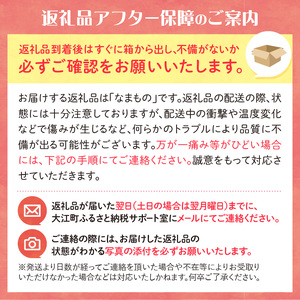 《先行予約》【2月発送予定】 訳あり 雪室りんごサンふじ 約5kg【大江町産・山形りんご・大地農産】 028-029