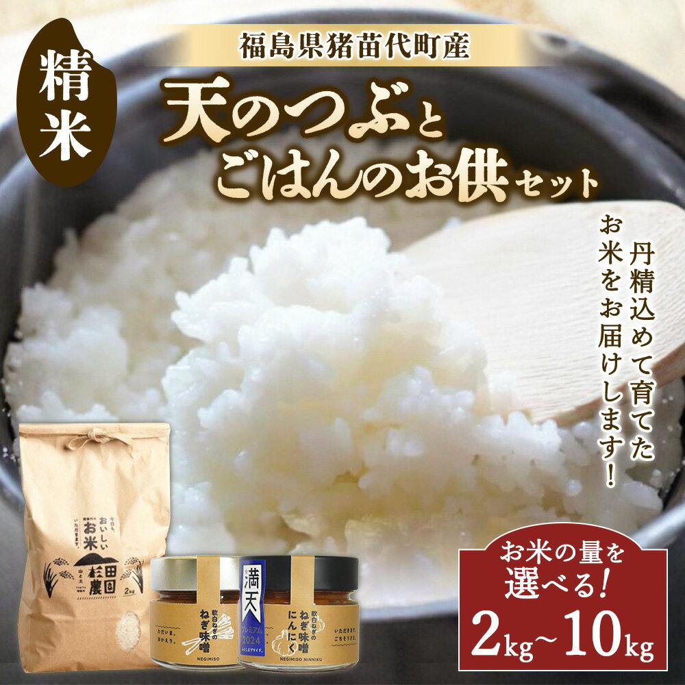 【ふるさと納税】【選べる内容量】【セット】 お米 天のつぶとごはんのお供（軟白ねぎのねぎ味噌とねぎ味噌にんにく）セット | 2kg 5kg 10kg 生産者直送 白米 精米 ネギみそ 葱味噌 葱みそ おかず
