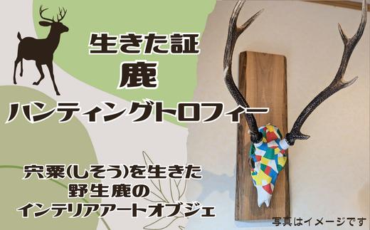 
            AN27　生きた証　鹿　ハンティングトロフィー　【 鹿 鹿革 革製品 アート 壁掛け インテリア オブジェ スカル ハンティング トロフィー 】
          