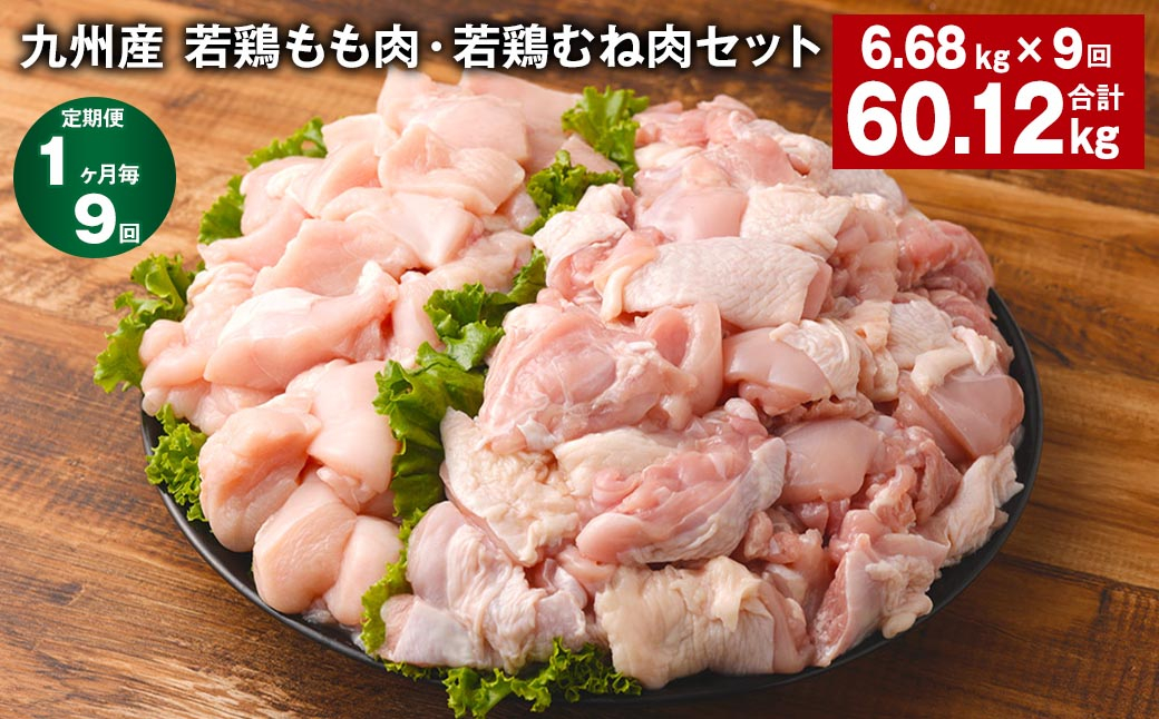 
【1ヶ月毎9回定期便】 九州産 若鶏もも肉・若鶏むね肉セット 計約60.12kg（約6.68kg✕9回） 鶏肉 もも肉 むね肉
