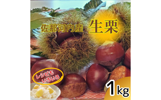 佐那河内産　生栗1kg(サイズ混合)※2026年10月上旬-10月末頃出荷　※離島不可