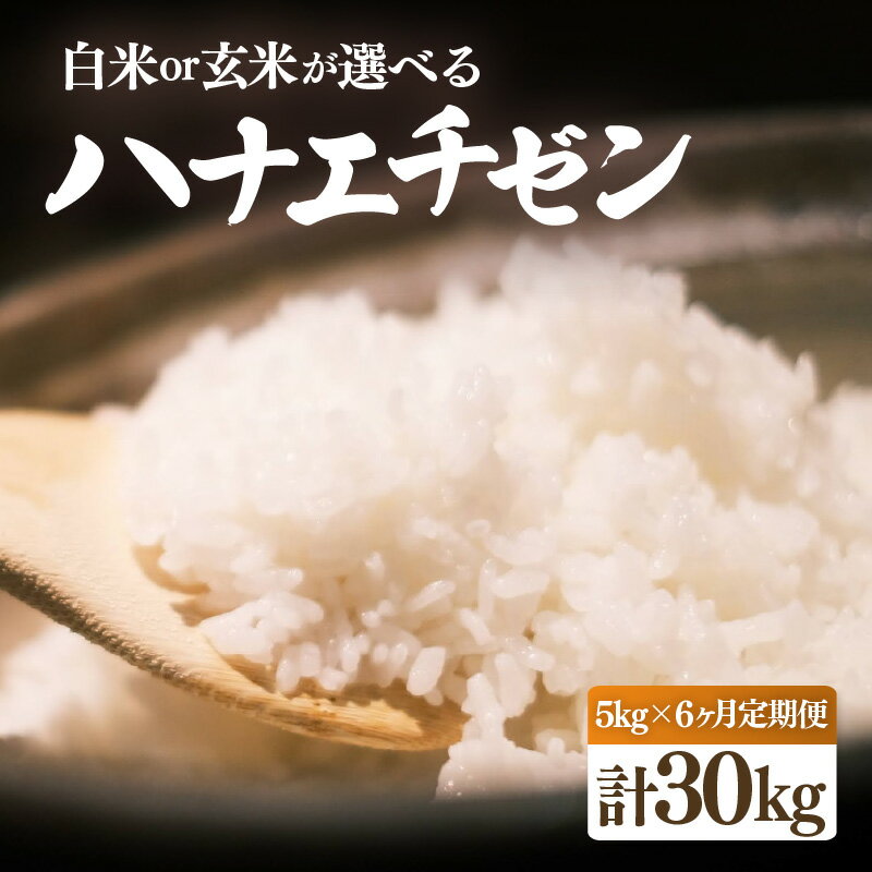 【ふるさと納税】【先行予約】【令和7年産・新米】定期便 ≪6ヶ月連続お届け≫ ハナエチゼン 5kg × 6回（合計30kg）【選べる精米方法：白米/玄米】【10月中旬前後より順次発送予定】【お米 こめ はなえちぜん 人気 ブランド米 5キロ 白米 精米 玄米 うまい 福井 福井県産】