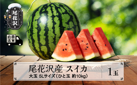 先行予約 スイカ すいか 尾花沢産スイカ 5Lサイズ 約10kg×1玉 7月下旬～8月中旬頃発送 尾花沢 スイカ すいか 令和7年産 2025年産 観光物産 kb-su5xx1