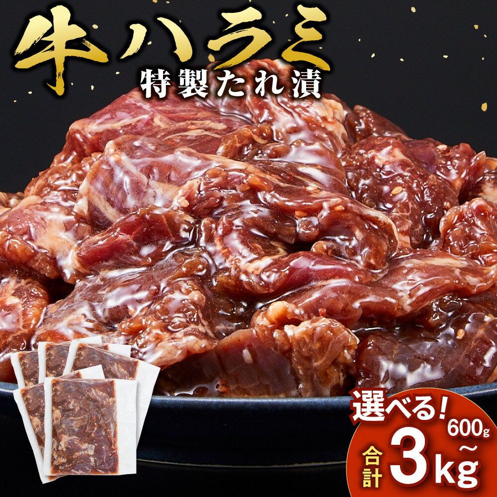 【ふるさと納税】＼内容量・発送時期が選べる／ ＜訳あり＞牛ハラミ　タレ漬け 600g～3kg | 小分け 個包装 便利 牛肉 焼肉 焼き肉 お肉 肉 ハラミ 焼くだけ 冷凍 たれ 味付き BBQ アウトドア キャンプ 人気 おすすめ 神奈川 川崎