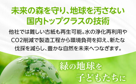 【全12回定期便】【細穴タイプ】 トイレットペーパー ダブル 24ロール 長巻き 65m (6ロール×4パック) 宅配 コアレス [VAA065]