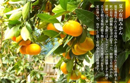 【5月下旬出荷予定】ハウスみかん 温室栽培 夏の有田みかん 1kg 秀品 S・M・Lサイズのいずれか 和歌山県 産地直送 みかんの会