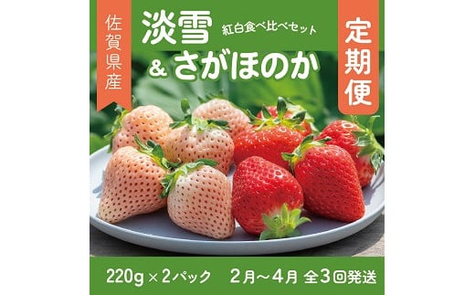 【定期便3回】佐賀県産 紅白いちご 食べ比べ 2~4月発送 淡雪 さがほのか フルーツ 果物 定期便 旬 苺 紅白 白いちご 九州 佐賀県 佐賀市 清瀬農園：B395-011
