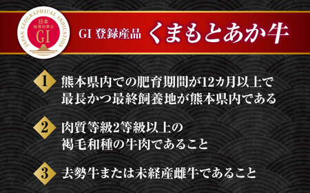【全3回定期便】　【数量限定】くまもとあか牛100%手ごねハンバーグ　デミグラスソース煮込み（約300ｇ×３個　デミグラスソース込み）　【有限会社スイートサプライなかぞの】[ZBV100]