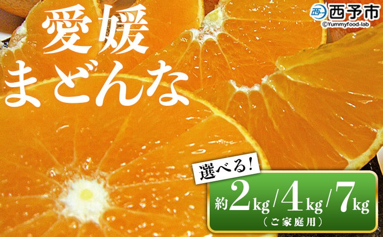 
先行予約 愛媛県西予市産 愛媛まどんな ご家庭用 約2kg／4kg／7kg 訳あり 柑橘 果物 フルーツ オレンジ 愛媛果試第28号 期間限定 選べる マドンナ 甘い 食べて応援 宇都宮物産 愛媛県 西予市【常温】
