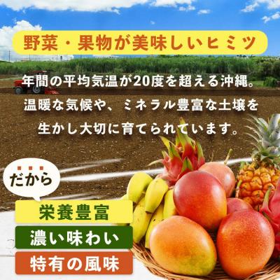 ふるさと納税 石垣市 沖縄 石垣島 新鮮 島やさい・くだもの BOX 【 野菜・フルーツ 詰め合わせセット 】1箱 |  | 02