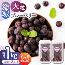 【ふるさと納税】【先行予約】【6回定期便】大粒 冷凍ブルーベリー 約1000g（約500g×2pc）【すみれファーム】[ZEP011]