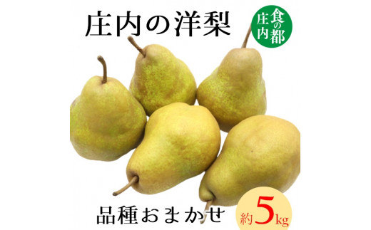 食の都庄内　庄内の洋梨（品種おまかせ）約5kg※9月下旬～1月下旬頃まで配送