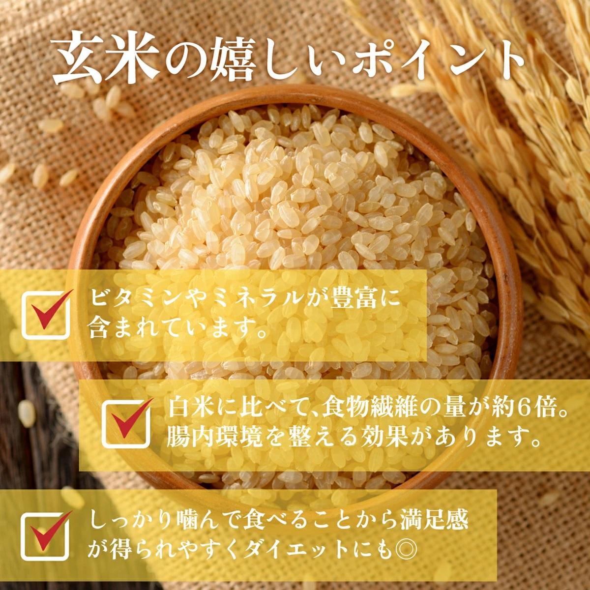 【2026年発送分 先行予約】令和8年産 鏡野町産 コシヒカリ 玄米 20kg【033-a013】