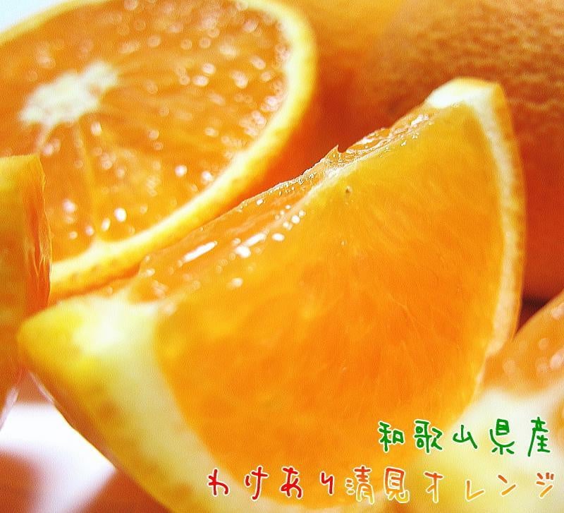 
            有田育ちの 完熟 清見 オレンジ（ご家庭用）約5kg［先行予約］［MS33］
          