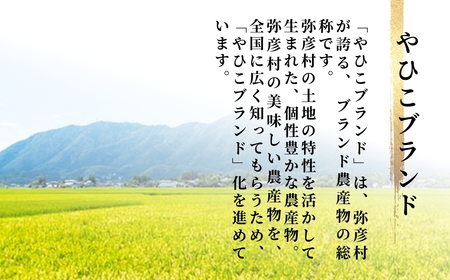 令和6年産特別栽培米コシヒカリ 伊彌彦米 10kg(5kg×2袋)新潟県産 精米 弥彦村_弥彦産コシヒカリ 特別栽培米コシヒカリ 皇室献上米 新潟産コシヒカリ_【1006486】