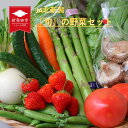 【ふるさと納税】 新発田産 旬の野菜セット【 JA北新潟 野菜セット 直売所 食育ソムリエ 旬 C08 】