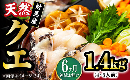 【全6回定期便】【 対馬産 】最高級 クエ 鍋 セット ( 4ー5人前 ) [WAB022]  水炊き くえ クエ鍋 天然クエ