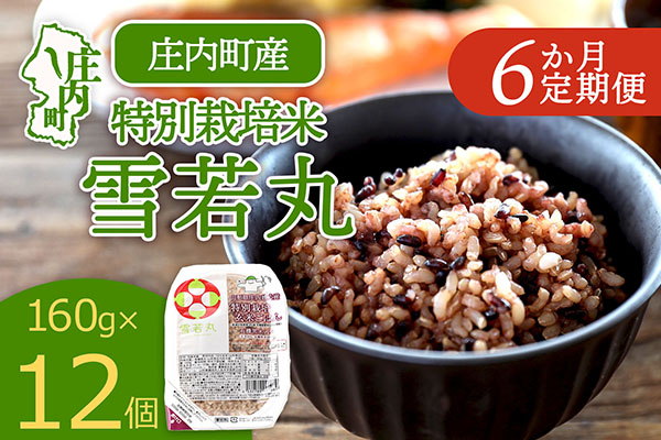 【定期便】雪若丸 玄米 パックごはん 160g×12個×6ヶ月 毎月お届け 有機黒米入り 山形県庄内町産 保存食 非常食 備蓄 防災 レンジで2分 レンチン 時短 簡単調理 ローリングストック【9月中