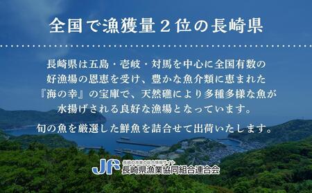 長崎県産 本マグロ中落ち 約1.2kg（約200g×6パック）セット