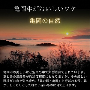 亀岡牛 サーロインステーキ 2枚 ステーキ