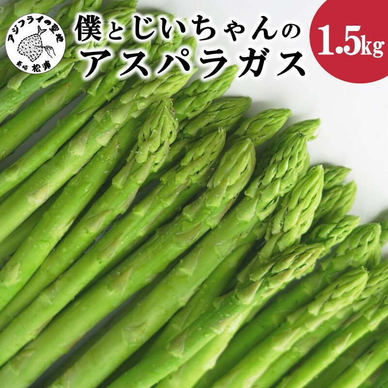 【ふるさと納税】＼お中元熨斗対応／僕とじいちゃんのアスパラガス1.5kg【B1-181】野菜 アスパラガス グリーンアスパラ 朝採れ 新鮮 九州 松浦市