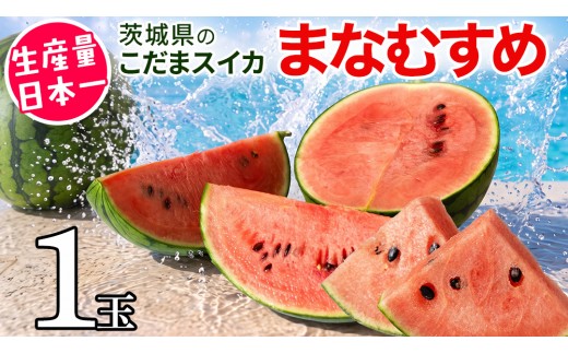 《 2027年 収穫分 》 小玉スイカ 愛娘 1玉 先行予約 国産 KEK 小玉 スイカ すいか 小玉すいか こだますいか 国産 西瓜 フルーツ 果物 くだもの 農家直送 旬 甘い ギフト 人気 産直 昼めし旅 [BC031sa]