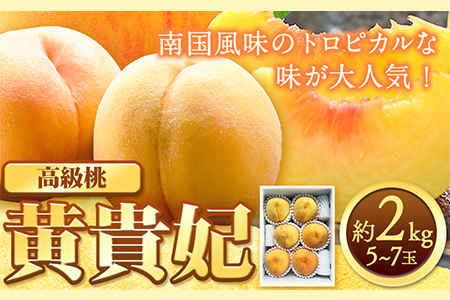 桃 もも 黄貴妃 約2kg 5-7玉入り 嶋農園《2026年9月上旬-9月末頃出荷》 和歌山県 紀の川市 桃 もも モモ フルーツ 果物 送料無料