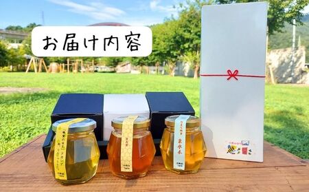 日本みつばちの蜂蜜＋西洋みつばちの蜂蜜　味くらべ3種セット 100ｇ×3