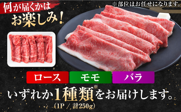 艶さし！佐賀牛 しゃぶしゃぶ・すき焼き用 250g ※肩ロース・肩バラ・モモのいずれか1部位※ 吉野ヶ里町 [FDB017]