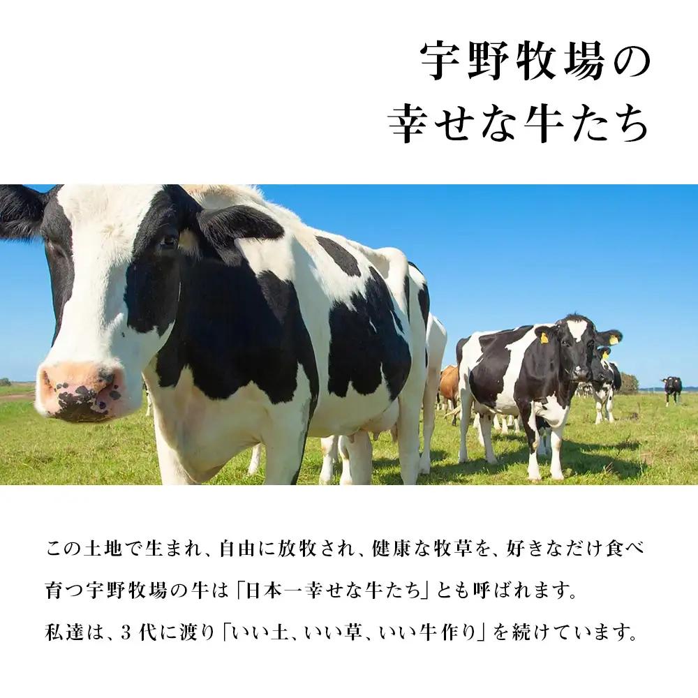 【定期便 6ヶ月】 オーガニック ドリンク ヨーグルト 200g×6本