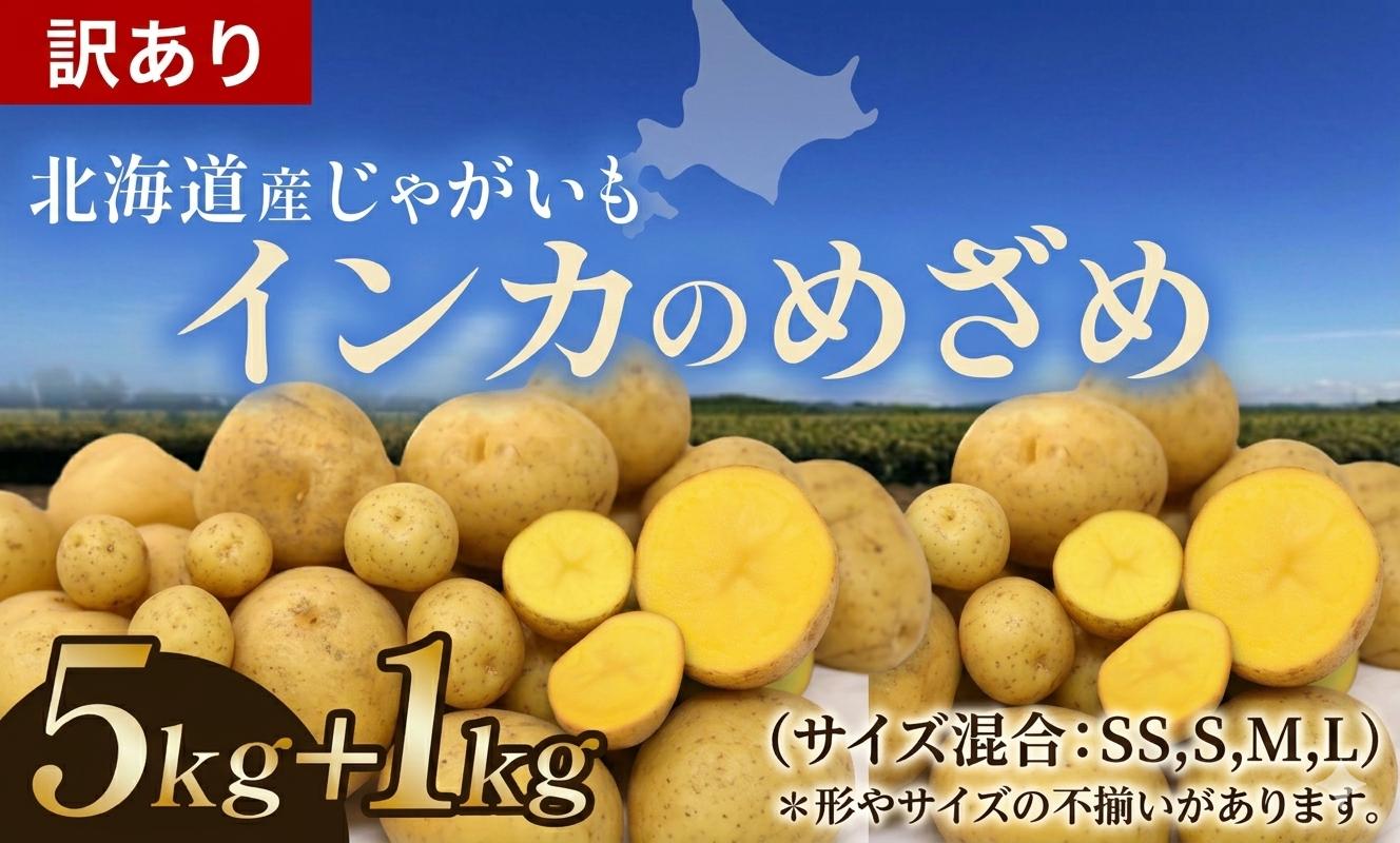 
                  訳あり インカのめざめ 6kg じゃがいも SS,S,M混合 北海道 池田町 ジャガイモ いも ポテト サイズ不揃い【8月下旬以降発送】
                