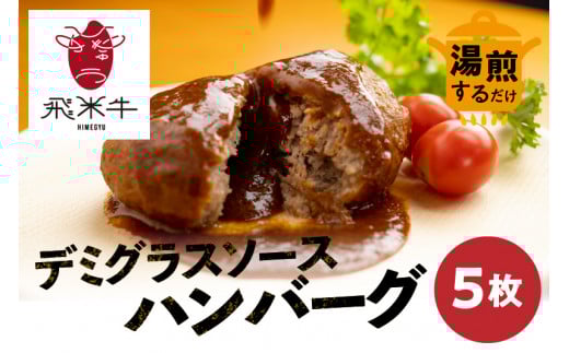 《簡易包装》飛米牛入りデミグラスソースハンバーグ 200g×5枚 簡単調理 温めるだけ 湯煎 レトルト 冷凍