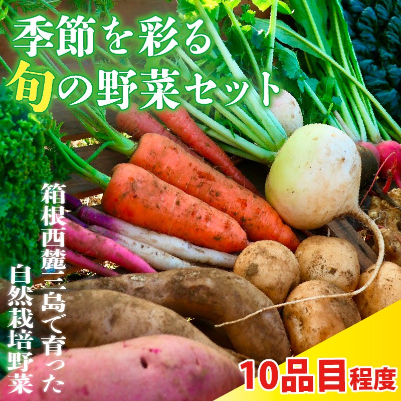
            季節を彩る旬の野菜セット （農薬・化学肥料不使用） 野菜 やさい サラダ 旬のおまかせ 季節 詰合せ 新鮮 産地直送 ふるさと納税 静岡県 三島市 
          