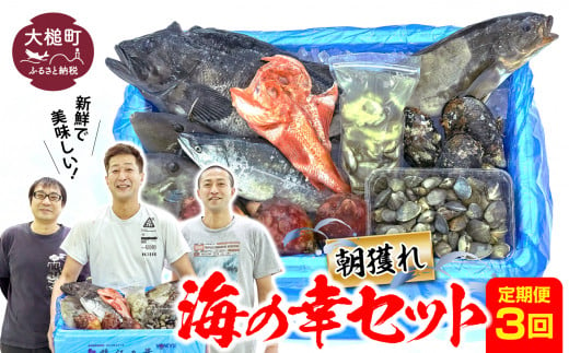 
【定期便3回】朝獲れ海の幸セット（旬の鮮魚、海藻などの詰合せ）鮮魚 詰め合わせ 海鮮 魚介 魚貝 新鮮 旬 お楽しみ
