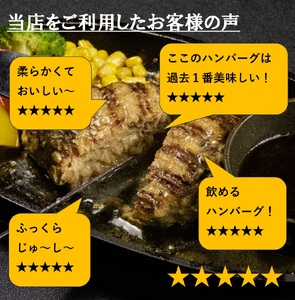 おおいた和牛入り「肉は別腹」ハンバーグ 【おおいた和牛 肉は別腹 ハンバーグ はんばーぐ 肉 牛肉 ソース付き 惣菜 チルド 内閣総理大臣賞 厳選 贅沢 ご褒美 オリジナル 黄金比率 手ごね 急速冷凍