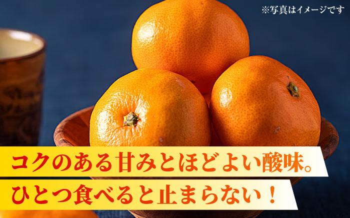 【先行予約】【数量限定】【3回定期便】みかん 約3kg 詰め合わせ 柑橘【合同会社 社方園】 [ZBZ022]